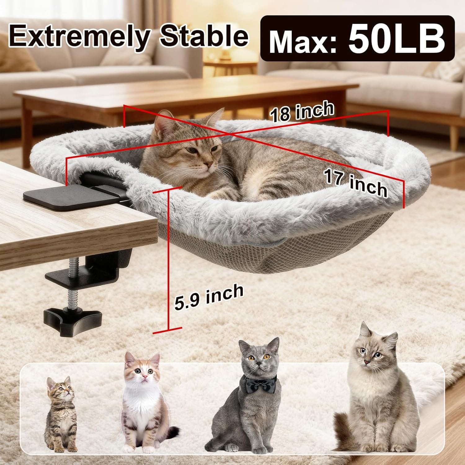 Purr-fect Nap Nest